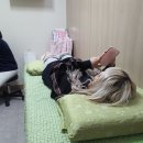 찐여름이 시작되고 있어요