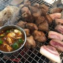 솔낭구 이미지