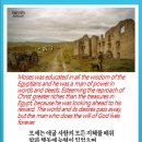 노보현 이미지