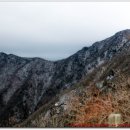 영남카클리닉 이미지