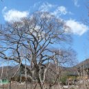 연곡리 저수지 중간 이미지