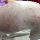 우성동물병원 이미지