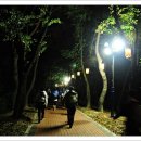 신라의 달밤 이미지