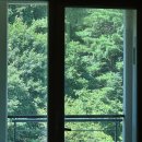 세신당구장 이미지