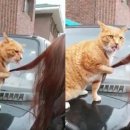 그루밍스토리 이미지