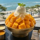 평화의 소리 | 웨스틴 조선비치 파노라마 라운지 | 해운대 바다뷰 카페 추천