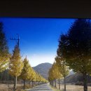 낙조보러가는길 이미지