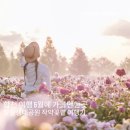 합천군청 | 합천 여행 5월에 가볼만한곳 핫들생태공원 작약꽃밭 여행기