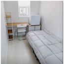 스테이 루나 이미지