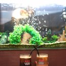 오케이다방 이미지