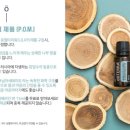 블루럽 이미지