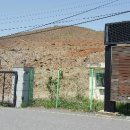 대림벌목