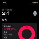 용인시동물보호센터 | [용인시동물보호센터] 강아지 산책 봉사 후기