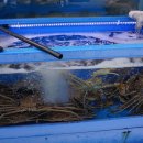 세븐일레븐 경포바다점 이미지