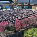 광양매화문화관 이미지