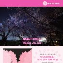 2024 경주 대릉원돌담길 벚꽃축제 이미지