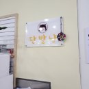 단발냥 | 남양주 구리 반려동물미용 고양이 무마취 미용 단발냥 다녀온 후기