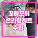 꼬몽스 | [꼬메모이 온리팔레트 5in1 ] 매일매일 활용하고 있는 후회 없는 내돈내산 후기!