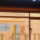 김쌤펫살롱 이미지