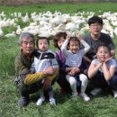 정현덕농장 이미지