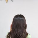 살롱드아리아 네이버블로그