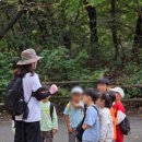 월드컵로 30 세븐일레븐 앞 네이버블로그