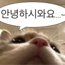 둔촌대로113번길 이미지