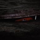 Ninja Turtle Teenage Mutant 이미지