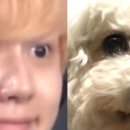 보리어린이집 이미지