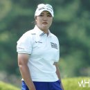 제주다올투어 이미지