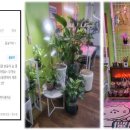 커브스둔산클럽 이미지