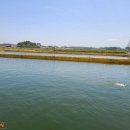 숙이네 식품 이미지