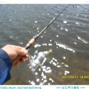 박근재농장 이미지