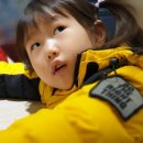 라인아트 이미지