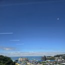 제이 애견 호텔 이미지