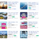 제주투어패스로 제주도 여행코스 알차게 짜기