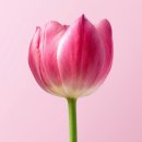 유일테크 이미지