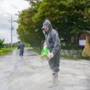 조영환농장 이미지