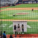 호시타코야끼 이미지