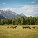 티롤민박 이미지