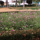 파크골프장(9홀) 이미지