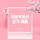 모리아공인중개사사무소 이미지