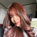 쉼헤어 이미지
