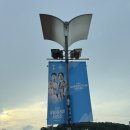 SNL스크린 | 쿠팡플레이 축구 토트넘 뉴캐슬 상암 월드컵경기장 경기 직관 후기