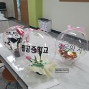 대구팔공중학교 이미지