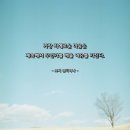 1140 | 사랑 명상 1140