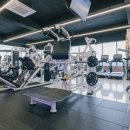 짐샤크 하안점 이미지