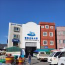 중앙선어시장 이미지