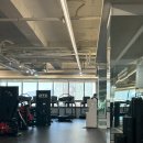 N GYM | [타임짐] 새롭게 리뉴얼 된 부평구청 인근 헬스장 N년차 내돈내산 후기