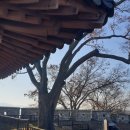 평화교통정비 | 강화도 역사유적 여행 연미정 월곶돈대 풍경 방문후기